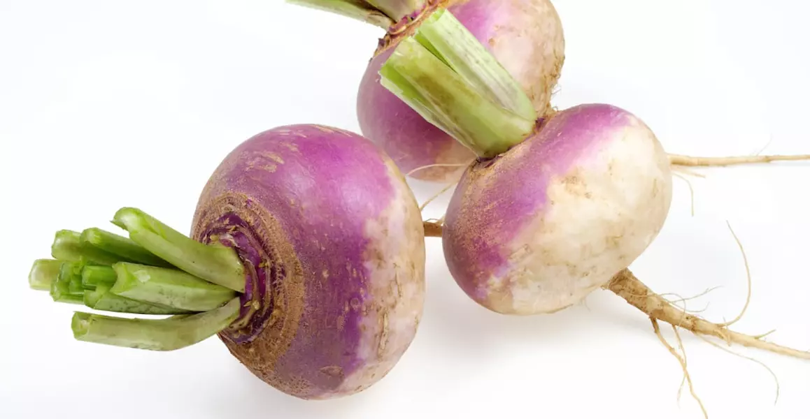 Can Dogs Eat Turnips?